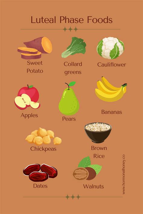 Foods To Eat In The Ovulatory Phase Cycle Syncing Food Plan Artofit