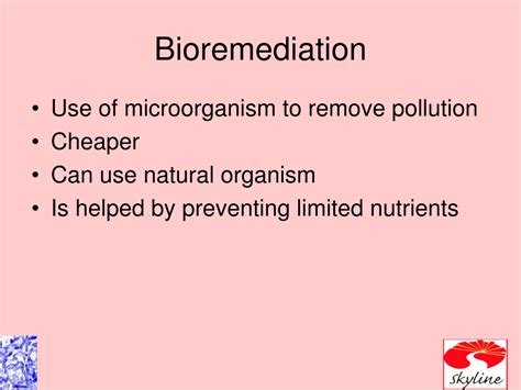 Ppt Ch Environmental Microbiology Powerpoint Presentation Free