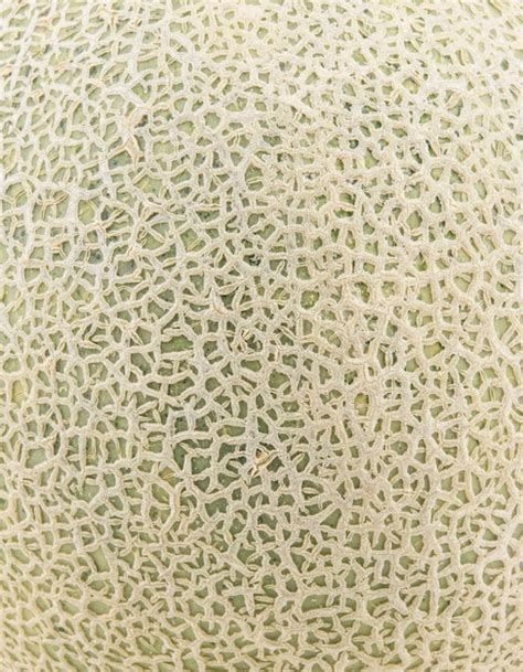 Premium Photo Melon Isolated On White Background