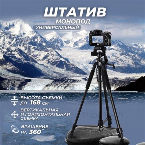 Штатив универсальный напольный 168см / С пультом Bluetooth и чехлом ...