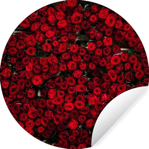 Wallcircle Muurstickers Behangcirkel Bloemen Rozen Rood