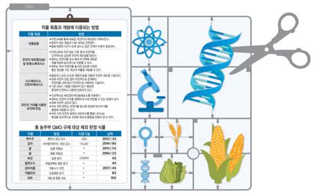 이슈분석 유전자편집 Gmo인가 아닌가 전자신문