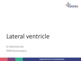 Lateral ventricle n copy | PPT