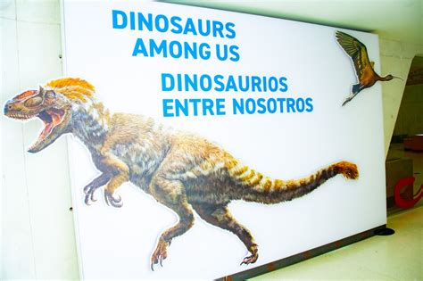 Dinosaurios y su vínculo con las aves están entre nosotros