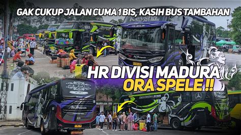 LUAR BIASA PENUMPANG MADURA GERUDUK PO HARYANTO GAK CUKUP JALAN 1