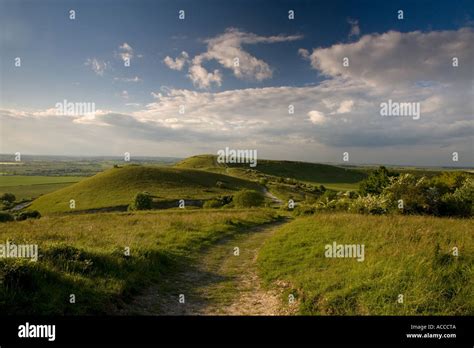 The Ridgeway Long Distance Path At Ivinghoe Beacon In The Chiltern