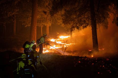 In Pictures California Wildfires Burn Dozens Of Homes Ski Resort September 12 2024 Reuters