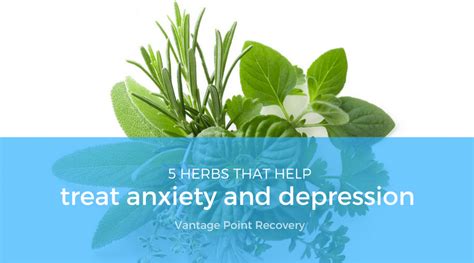 Herbs that Treat Anxiety and Depression | Vantage Point Recovery