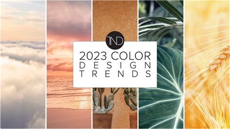 Leaning into Color: Favorite Color Trends of 2023 — Tara Nelson Designs