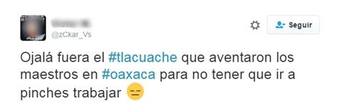 Tlacuache meme.