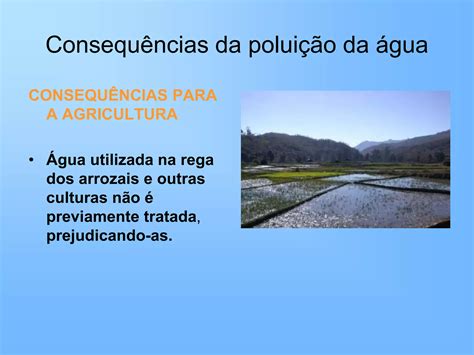 Texto Sobre Poluição Da Agua Com Interpretação - 9