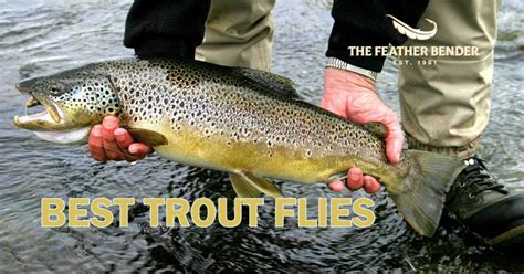 Best Trout Flies The Ultimate Guide