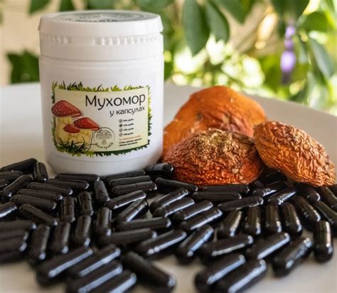 Купити мухомори, їжовики гребінчасті та інші лікарські гриби в Україні ...