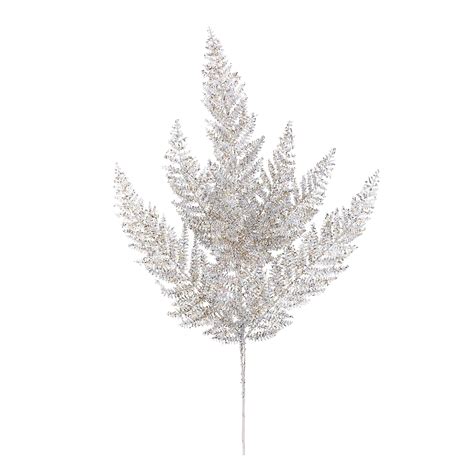 Get Silver And Gold Glitter Fern In MI At English Gardens Nurseries