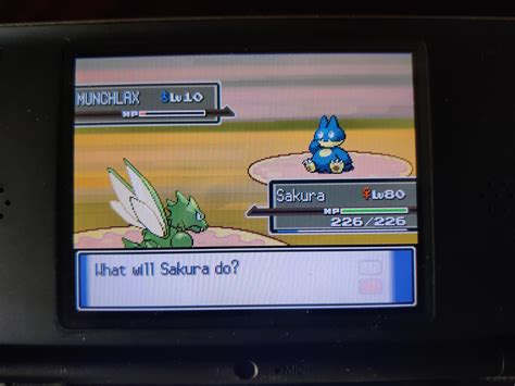 Finally Got Munchlax From Honey Tree R Pokemonplatinum