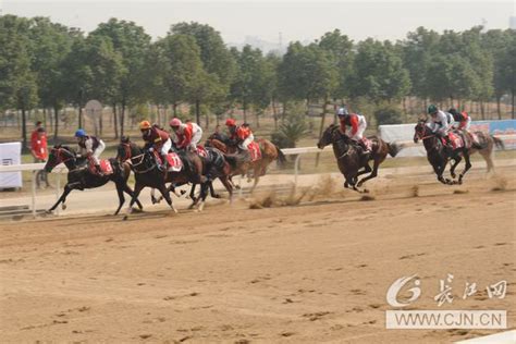 武汉国际赛马节激情开赛 现场观众当颁奖嘉宾武汉24小时新闻中心长江网cjncn