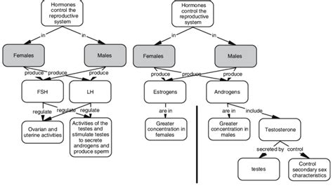 Concept Map Of Hormones Download Scientific Diagram