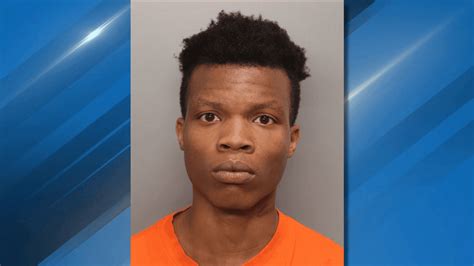 Teen Arrested For Multiple Burglaries In North Charleston Area Dcso