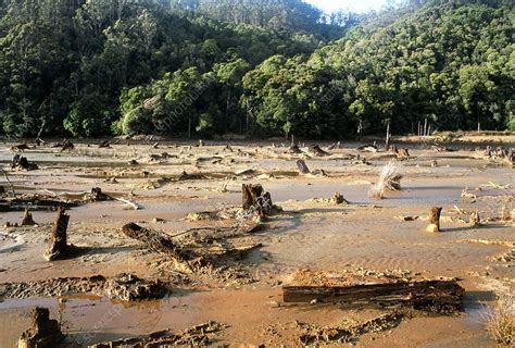 Polluted King River causes deforestation, Tasmania - Stock Image - E820 ...