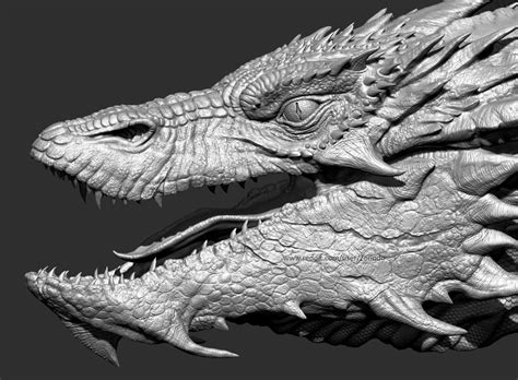 Dragon Study : ZBrush