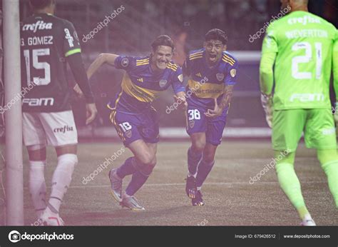 Sao Paulo October 2023 Libertadores Palmeiras Football 2023 Held ...