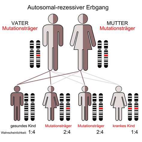 Erberkrankungen