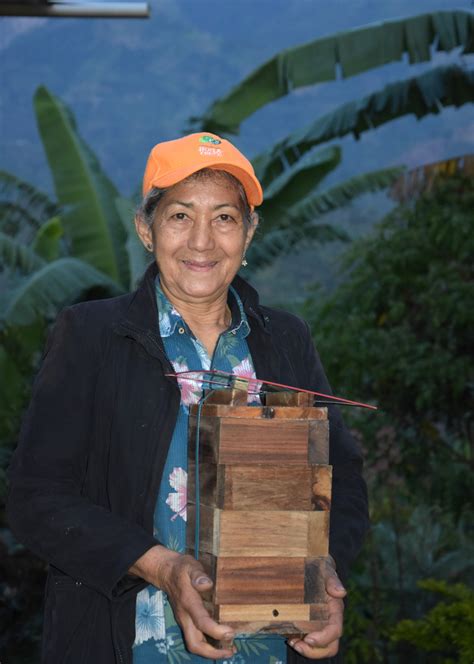 Cafeteros Huilenses Ser N Protectores De Las Abejas Meliponas Tsm