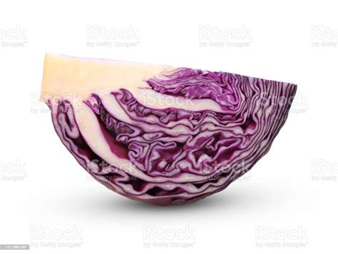 Slice Red Cabbage Vegetable On White Background Stock Photo Download