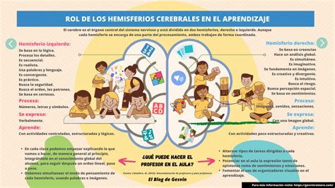 Rol de los Hemisferios Cerebrales en el Aprendizaje – Blog de Gesvin