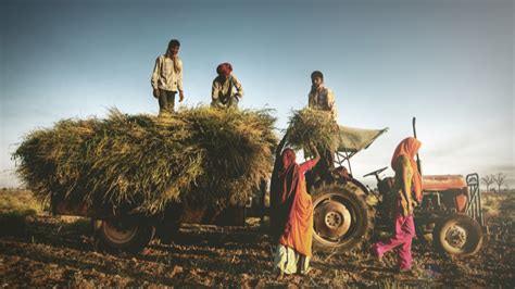 Five Steps To Revive India S Rural Economy Giving Compass