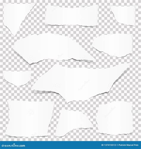 Paper Scraps Ripped Papers Torn Page Pieces Cartoon Vector