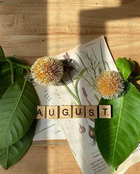 The Word August Spelled Out With Scrabbles And Flowers On Top Of Leaves