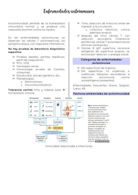 Enfermedades Autoinmunes Natalie Cárdenas Rivera uDocz