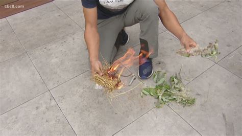 Survival Secrets From Naked And Afraid Xl Star Cbs