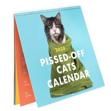 Pets Rock Calendar 2025 Characters Who Are They Related To Ivy Desirae