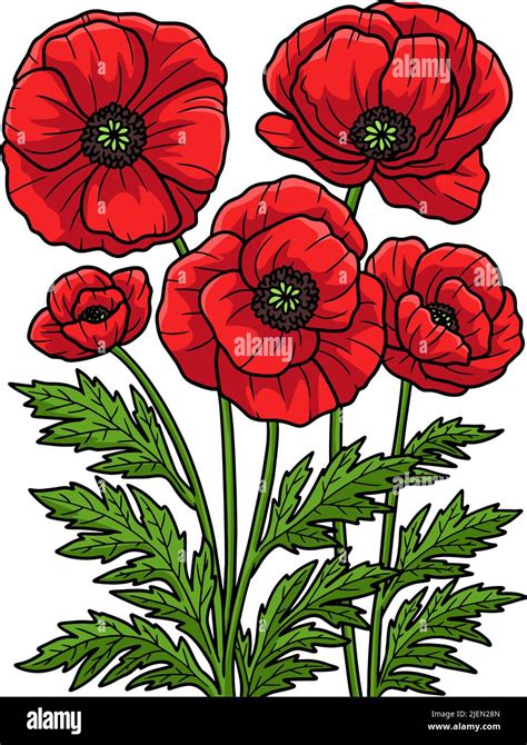 Corn Poppy Flower Cartoon Colored Clipart Stock Vector Image & Art - Alamy