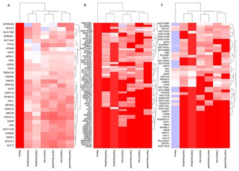 Meta Analysis Of 542 934 Subjects Of European Ancestry Identifies New