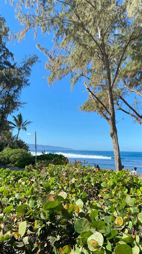 North Shore Hawaii Beach L Summer Beach Girl L Coconut Girl Aesthetic