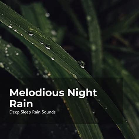 Amazon.com: Melodious Night Rain : Deep Sleep Rain Sounds & Rain ...