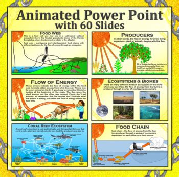 Food Chains, Food Webs & Energy Flow Through Ecosystems Unit - Distance ...