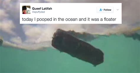 Fyi People Poop In The Ocean So You Gotta Worry About That Too