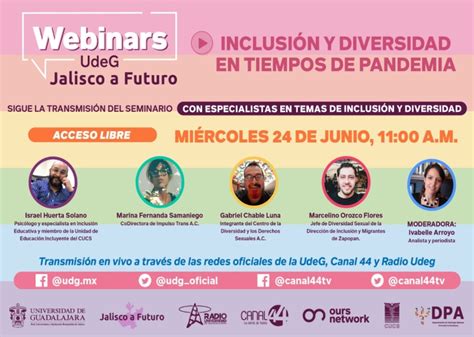 Participaci N En El Webinar Inclusi N Y Diversidad En Tiempos De