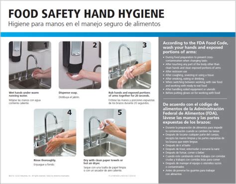 Poster-Hand Hygiene - 5 Step Handwashing — FoodSafeTruth.com