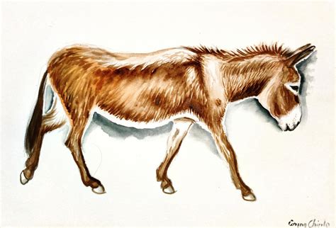 Donkey by CORinAZONe on DeviantArt