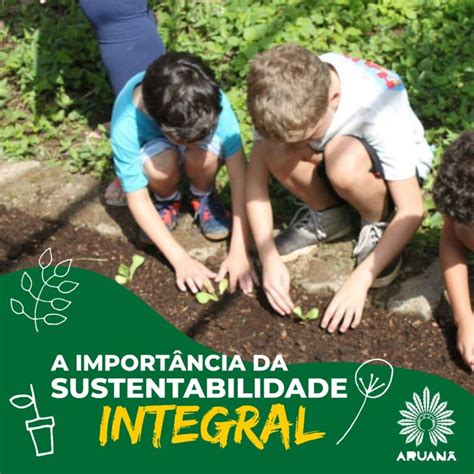 A Import Ncia Da Sustentabilidade Integral