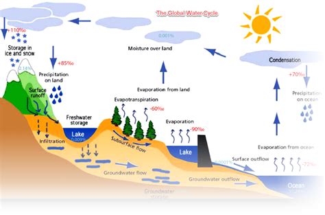 The Global Water Cycle - LOVE SCINCE