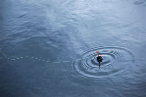 Fun Beginner Fishing Techniques Perfect for Kids and Adults Alike