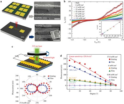 Direct Laser Writing On Halide Perovskites From Mechanisms To Applications