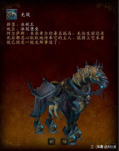 魔獸世界：盤點所有亡靈戰馬獲取方式，第四匹只需等待六天即可 每日頭條