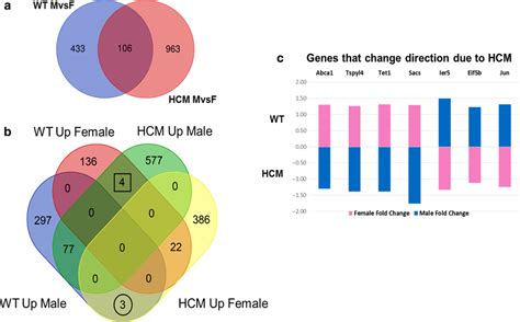 Sex Differences At Transcriptomic Level A Venn Diagram Representing